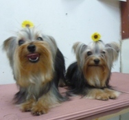 20100715.jpg