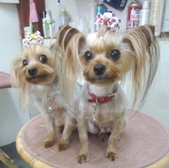 20100718-1.jpg
