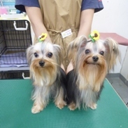 20100818.jpg