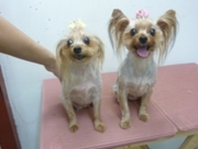 20100903.jpg