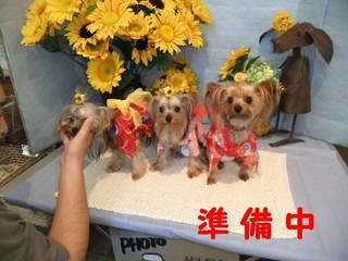 2010 0807はる0163.jpg