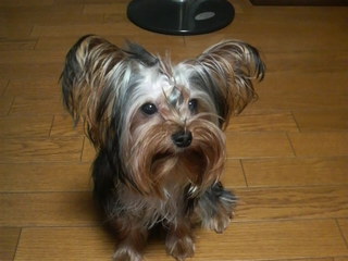 2010 0811kotaro.jpg