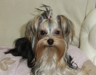 2010 0911はる0305.jpg