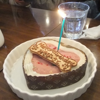 2010 1104はる0035.jpg