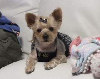 2010 1117はる0040.jpg
