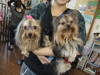 2010_0725はる0112.jpg