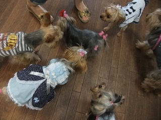 2010_0725はる0123.jpg