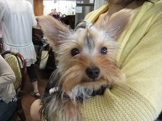 2010_0725はる0135.jpg