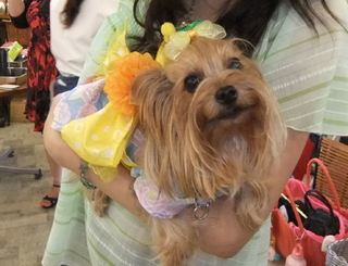 2010_0807はる0074.jpg
