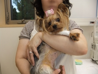 2010_0807はる0246.jpg