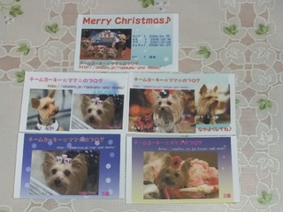 2010_1215はる0133.jpg