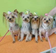 20110708.jpg