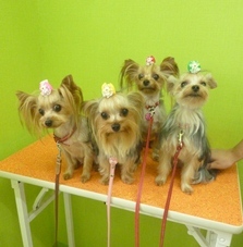 20110820.jpg