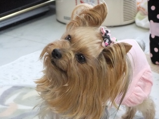 2011_0228はる0095.jpg