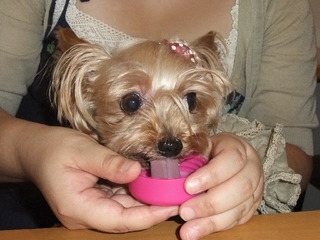 2011_0728はる0421.jpg