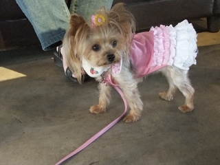2011_0805はる0026.jpg
