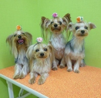 2011_1005.jpg