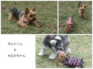 2011_1026001213.jpg