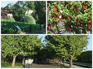 2011_10260141144.jpg