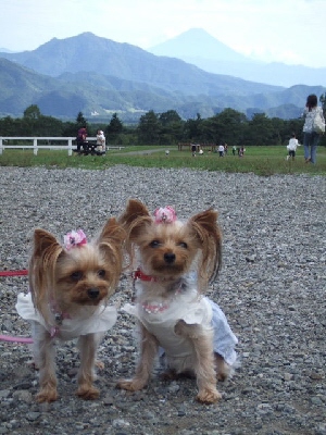 はるななと富士山.jpg