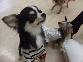 2009 0705 05ソラくん.jpg