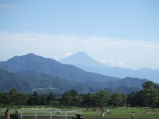 清泉寮からの富士山.jpg