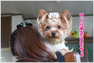 c8910faba329476b3b85349d90264db1.jpg